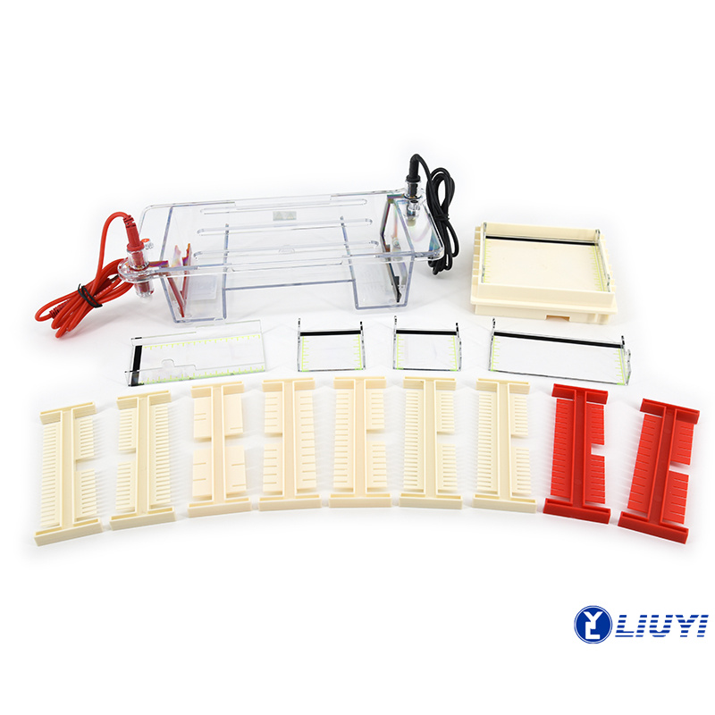 7.Nucleic-Acid-Horizontal-Electrophoresis-Cell-DYCP-31DN-5