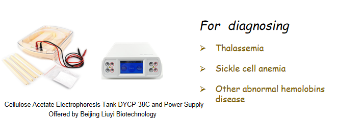 DYCP-38C cellulose acetate electrophoresis tank