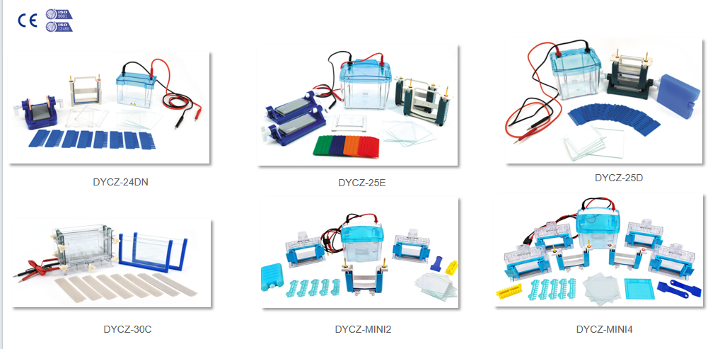 vertical electrophoresis tank